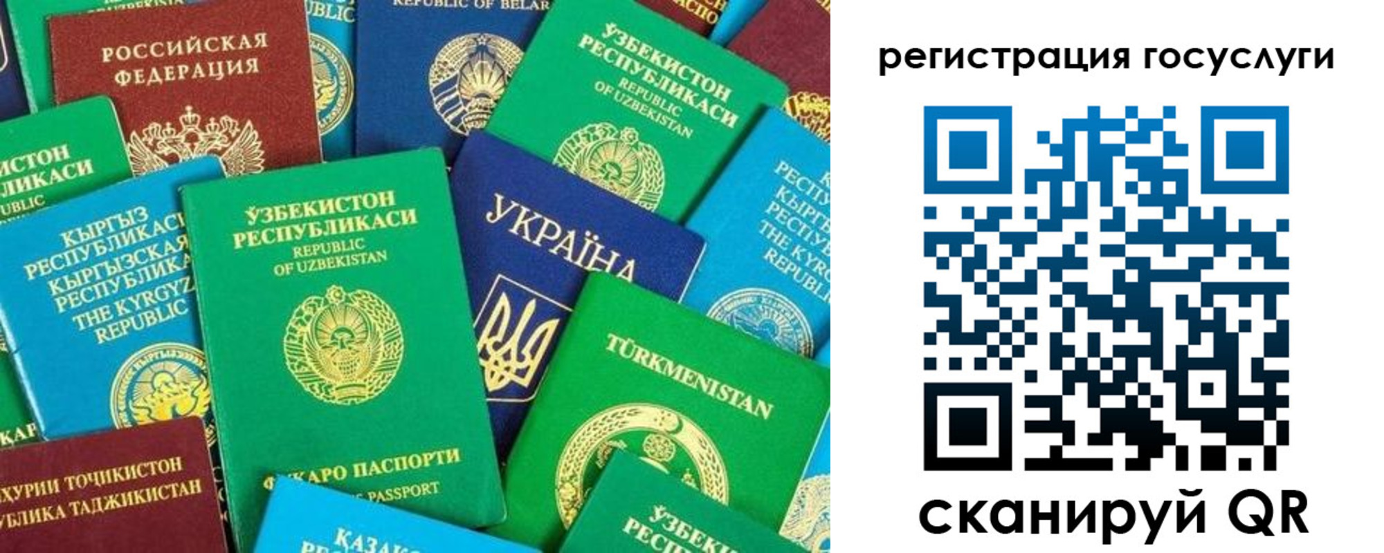 временная регистрация купить в Камешково
